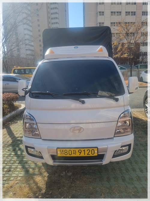 세종이사