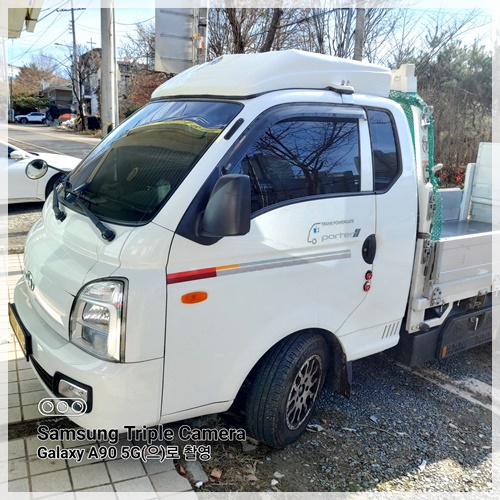 세종이사